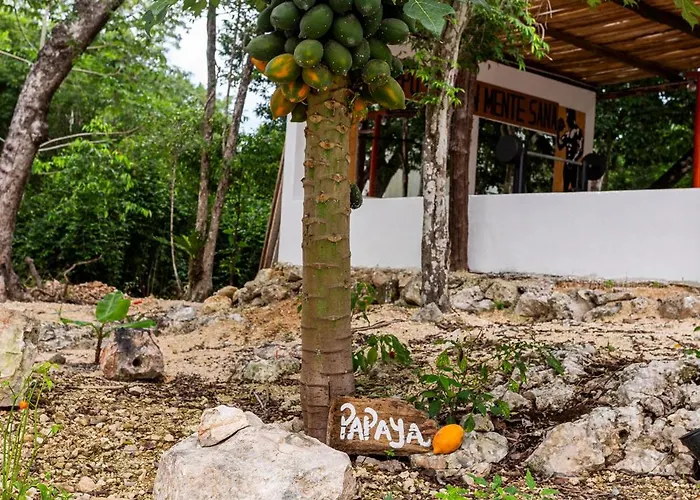 Xtambaa Selva Tulum